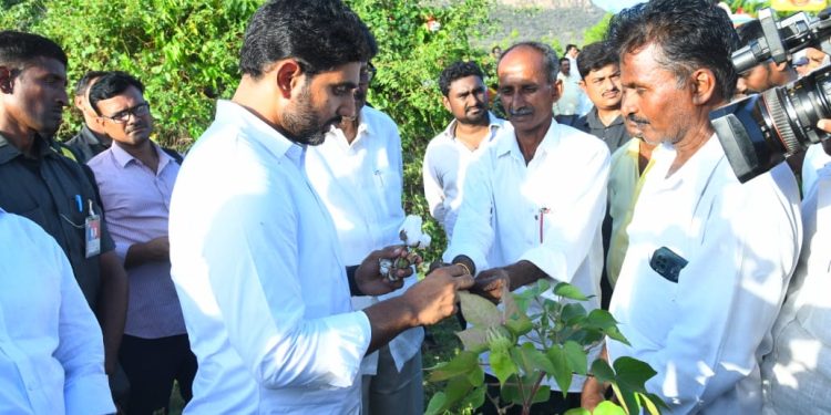 nara lokesh