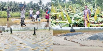 నీట మునిగిన పంటలు ఆగమైపోయిన రైతన్న