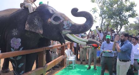 మానవ, ఏనుగుల ఘర్షణ నివారణ..అటవీ జంతువుల సంరక్షణకు ‘హనుమాన్’