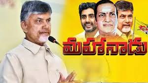 సింహపురిలో పసుపు పండుగ!