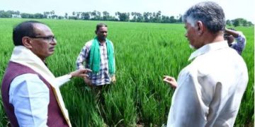 ప్రకృతి సాగులో ఆదర్శం ఆంధ్రప్రదేశ్