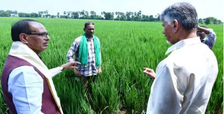 ప్రకృతి సాగులో ఆదర్శం ఆంధ్రప్రదేశ్